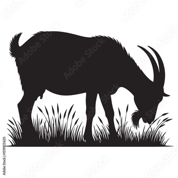 Obraz a silhouette goat eat grass and white background