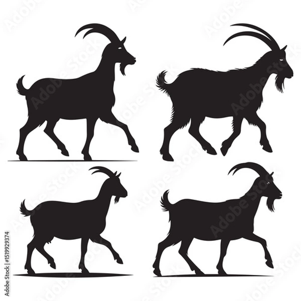 Obraz Set of isolated goat silhouettes, with some appearing like goat