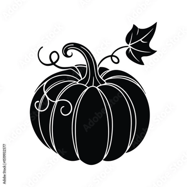 Fototapeta Pumpkin Vine Vector Silhouette