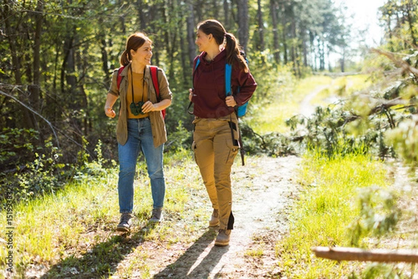 Obraz Two friends enjoy a sunny hike through a vibrant, green forest during a beautiful afternoon
