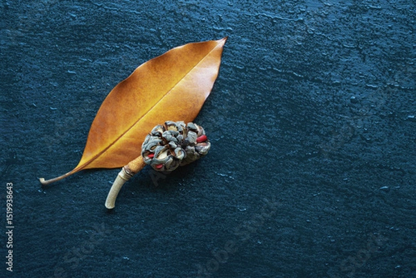 Fototapeta Autumn background. One yellow leaf and cone of magnolia tree on dark wet table. Copy space