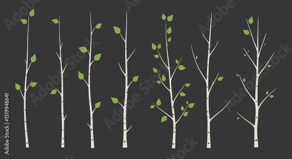 Fototapeta Collection of illustrated birch tree branches with leaves on black  