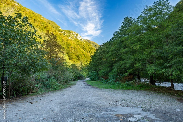 Fototapeta An ancient path that has lost its meaning, along a mountain slope, hidden under the dense greenery of trees and bushes. A bright sunny autumn day.