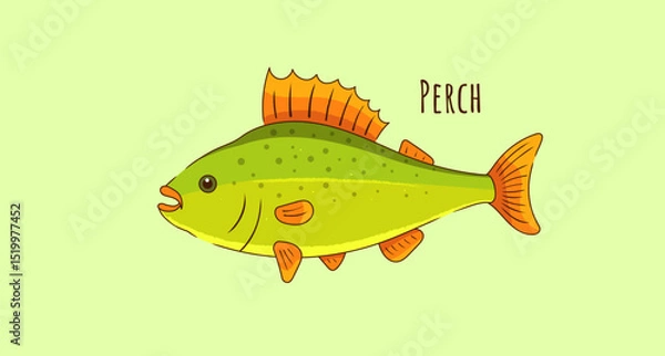 Fototapeta Hand Drawn Perch Fish Vector Illustration. Colorful Aquatic Life