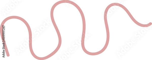 Obraz Intestinal Parasitic Worm