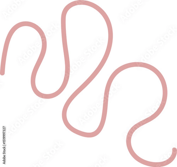 Obraz Intestinal Parasitic Worm