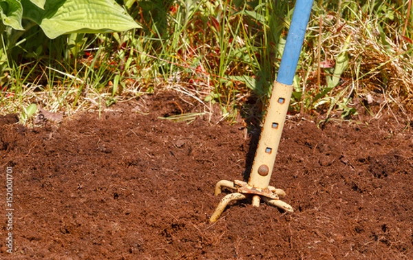 Obraz Garden claw tool and soil