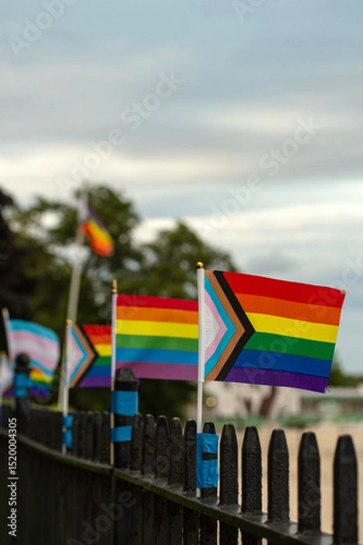 Obraz Little Pride Flags on a black fence with a beach in the background 