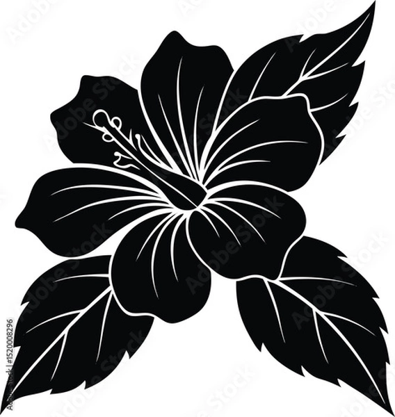 Fototapeta You might also like these vectors
