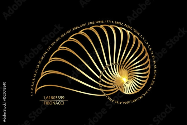 Obraz Fibonacci Sequence Golden ratio. Geometric shapes spiral. Snail spiral. Sea shell of gold circles. Sacred geometry logo template. Vector isolated on black background
