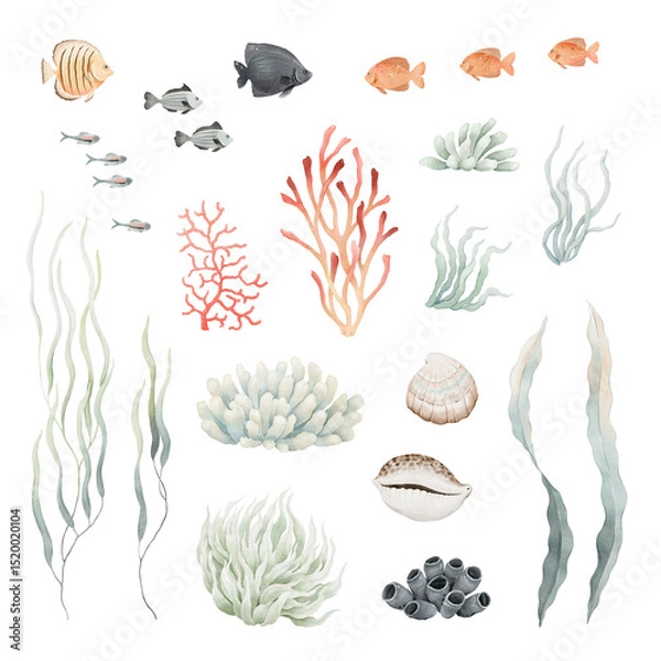 Obraz Marine set with corals, sea plants, sea sponges, shells and fishes. Watercolor isolated illustration of hand-drawn decorative elements for your design, collection of marine flora and fauna.