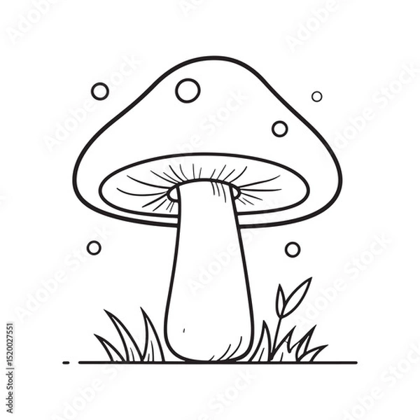 Obraz Mushroom Line Art Vector, Black and White Mushroom Illustrations.