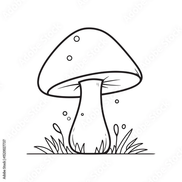 Obraz Mushroom Line Art Vector, Black and White Mushroom Illustrations.