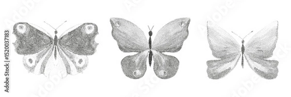 Fototapeta Grunge vintage butterfly in halftones. Aesthetic graphic tattoo. Gothic punk poster.Trendy elements with retro photocopy effect.