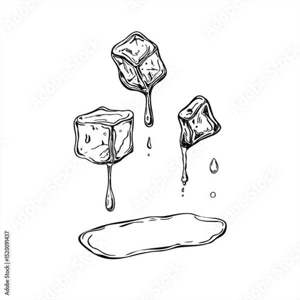 Fototapeta Monochrome melting ice cube with falling drops and water puddle vector illustration. Crystal freezer brick in clear liquid black and white sketch. For cocktail packaging, refreshing summer concept