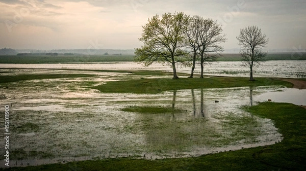 Obraz Wschód słońca nad Biebrzą 2
