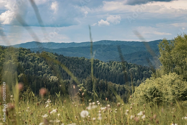 Fototapeta Mountain landscape in the Beskydy Mountains with green fields and sunlit hills under a sky with fluffy white clouds. Peaceful and natural summer atmosphere with warm sunlight.