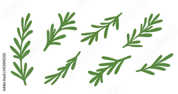 Fototapeta Flat vector rosemary branches collection