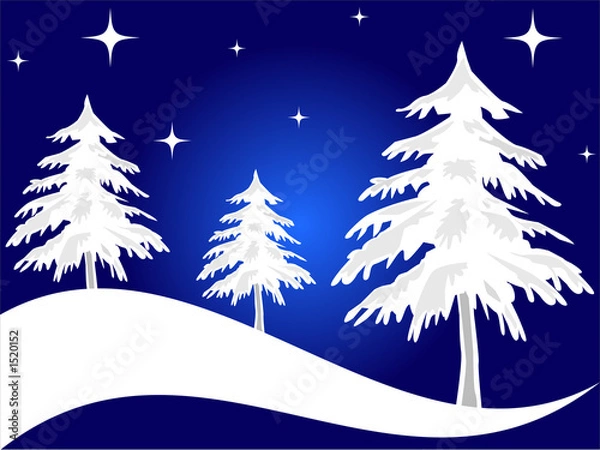 Fototapeta christmas trees