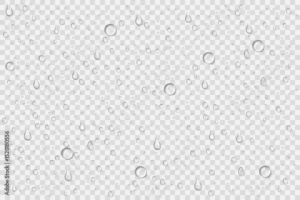 Obraz Realistic water drops on transparent background