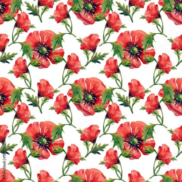 Fototapeta Large red poppy flowers, collection of watercolor flowers, seamless pattern on white background.