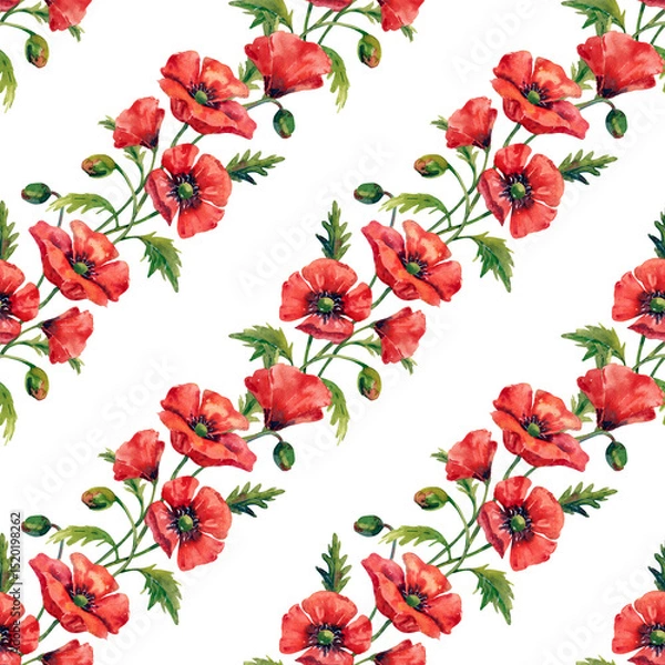 Fototapeta Large red poppy flowers, watercolor flowers collection, seamless pattern on white background.