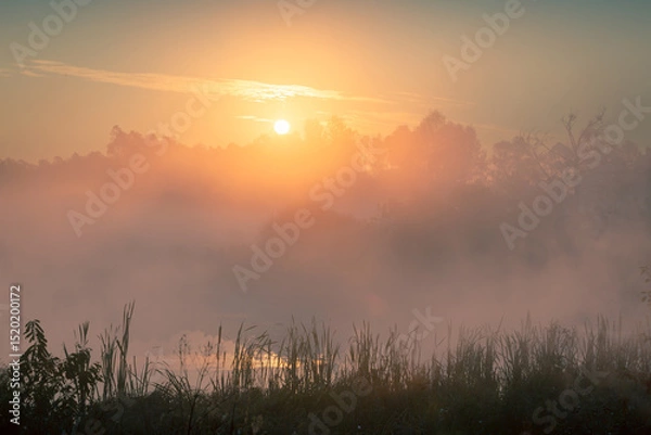 Fototapeta Beautiful calm misty sunrise over foggy river with reeds on a foreground. Epic scenery.