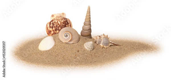 Obraz Coquillages sur un fond de sable de plage

