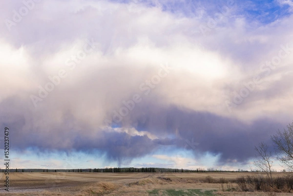 Fototapeta A scenic rural landscape capturing a freshly seeded agricultural field under a dramatic cloudy spring sky, raining in the horizon.
