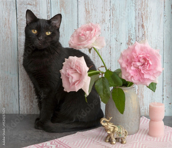 Fototapeta Black cat sitting next to a bouquet of pink roses in a gray vase
