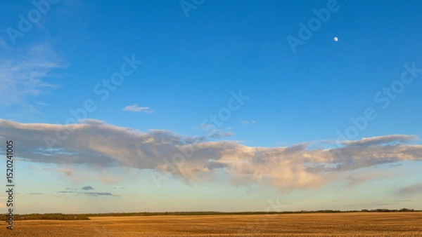 Fototapeta A scenic rural landscape capturing a freshly seeded agricultural field under a dramatic cloudy spring sky, raining in the horizon.