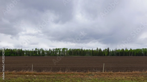 Fototapeta A scenic rural landscape capturing a freshly seeded agricultural field bordered by vibrant green-leaved trees under a dramatic cloudy spring sky, raining in the horizon.