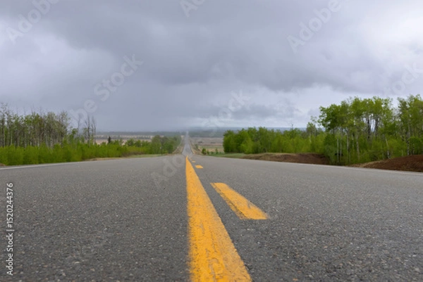 Fototapeta Highway with black asphalt and yellow lines in the rural area, green trees on sides, cloudy spring blue sky.