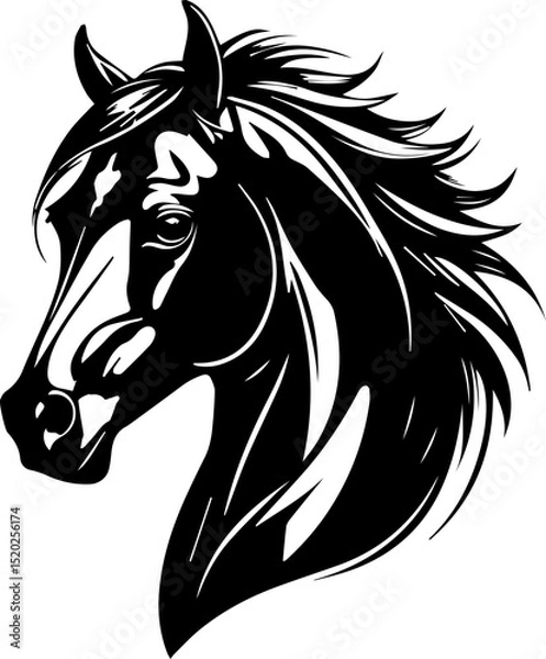 Obraz horse head silhouette