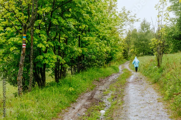 Obraz Turysta na szlaku