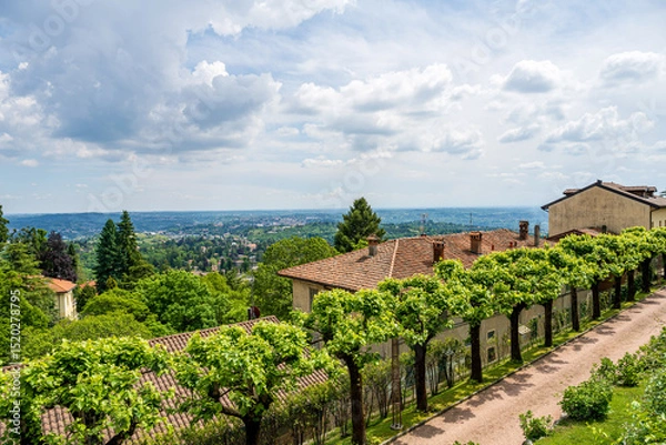 Obraz Explore the beautiful scenic vineyard landscape featuring rolling hills beneath a cloudy sky