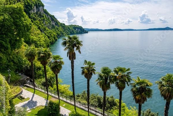 Obraz palm trees with view at the Lago Maggiore