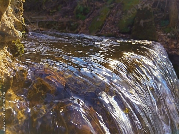 Fototapeta Wildlife. Mountain river. Thresholds of water sources. Transparent water. Movement of water in nature. Close-up. refreshing condition Wallpaper. Postcard