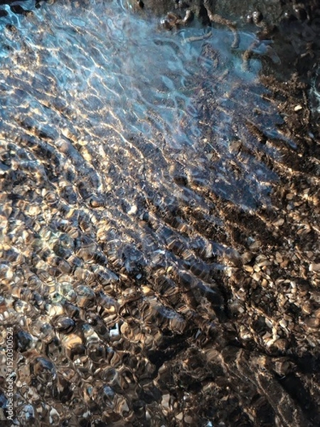 Fototapeta Colorful reflection in the moving surface of the water. Transparent water. Sandy bottom. Brilliant rays of sunlight. Spring in the wilderness. Abstract textured background