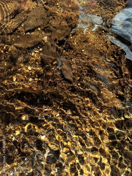 Fototapeta Colorful reflection in the moving surface of the water. Transparent water. Sandy bottom. Brilliant rays of sunlight. Spring in the wilderness. Abstract textured background