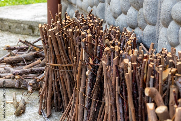 Fototapeta Thinly cut firewood bundles are drying near a stone wall, showcasing the preparation for colder seasons and the resourcefulness of using natural materials for heating