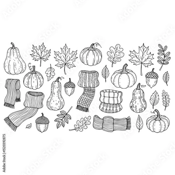 Fototapeta Autumn pumpkins leaves acorns and scarfs doodle sketch for fall season vector design background illustration