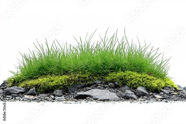 Obraz Green Grass and Natural Landscape. Ecology and Biodiversity in Springtime