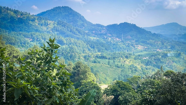 Fototapeta selective focus on the scenery of the green hills in the sentul region of Bogor