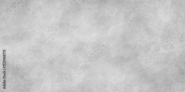 Fototapeta White abstract ice texture grunge background. Background of gray old concrete wall. Plaster or Gypsum cement wall grunge texture background for interior or exterior design.