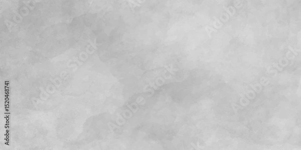 Fototapeta White abstract ice texture grunge background. Background of gray old concrete wall. Plaster or Gypsum cement wall grunge texture background for interior or exterior design.