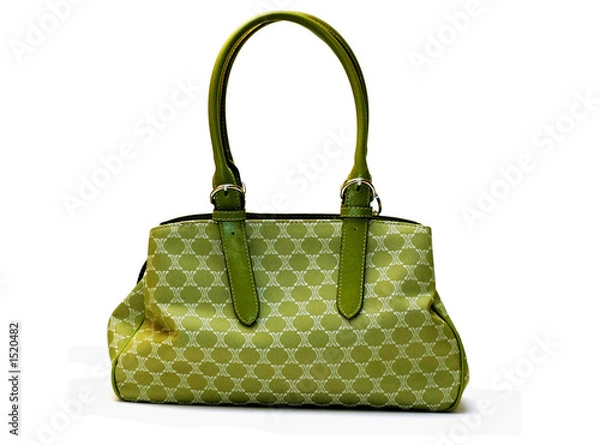 Obraz women handbag