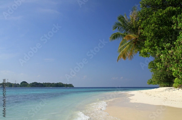 Obraz Maldivian beach, Ari Atol, Maldives