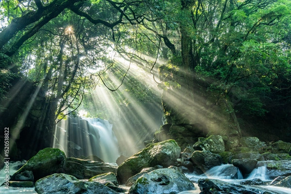 Obraz 夫婦滝の光芒