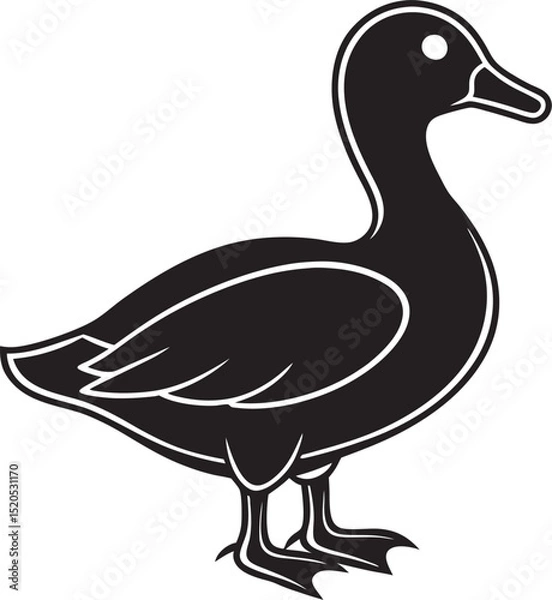 Obraz duck isolated on white